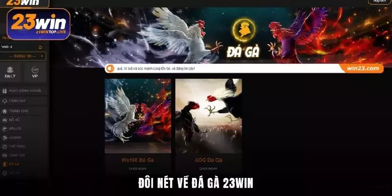Đôi nét về đá gà 23Win