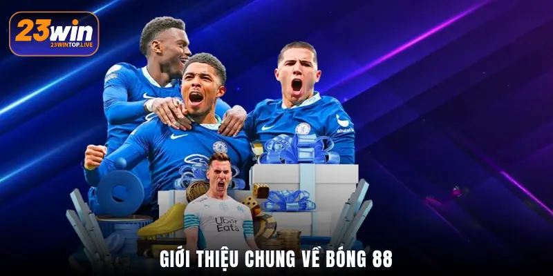 Giới thiệu chung về Bóng 88