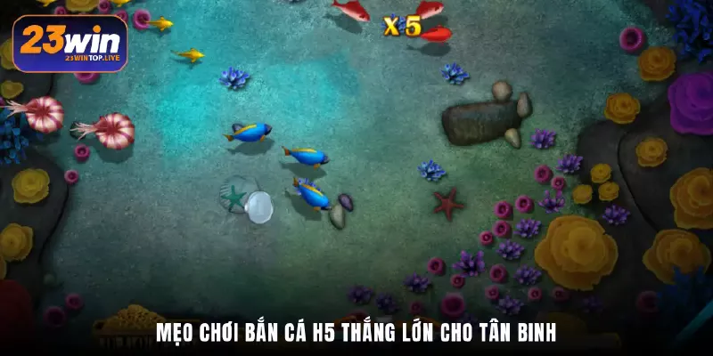 Mẹo chơi Bắn cá H5 thắng lớn cho tân binh